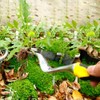 Garden Tools Hand Patio Weed Remover Tool, Manual Weed Puller