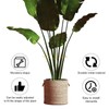 Pack of 2 Monstera Trellis, Plant Support Monstera, Trellis Monstera,