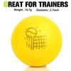 WinnerWhy Foam Tennis Balls for Adult Practice Yellow Foam Tennis
