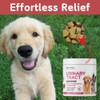 Cranberry Dog UTI Chews with D Mannose - 100% Natural