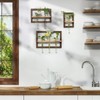 Walasis Wall Planter Propagation Stations - Hanging Glass Terrarium Tube