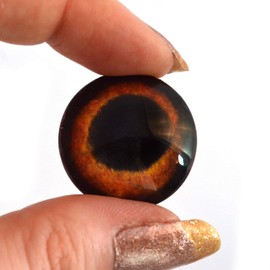 Amber Dog Glass Eyes Realistic Animal Pair for Puppy Art Doll Parts, Sculpture, Prop, Mask, Fursuit Supplies, Jewelry Making Cabochons, Taxidermy, and More (25mm)
