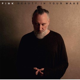 Beauty in Your Wake (CD)