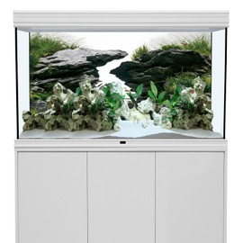 AWERT 24x16 inches Viewing Stone Fish Tank Background River Bed & Lake Aquarium Background Seaweed Aquarium Vinyl Background