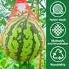 Iceyyyy 100 Pack Watermelon Nets,Hanging Watermelon Nets Bags Mesh,Reusable Melon