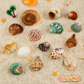 15PCS Hermit Crab Shells | Natural Sea Conch Size 1.6"-3.2" | Growth Turbo for Small to Medium and Large Crabs, Saltwater Hermit Crab Supplies and Sea Shell for Beach Decor