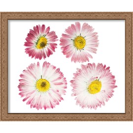 12x15 Elegant Antique Gold Shadow Box Frame - Interior Size 12x15 by 1 Inch Deep - Made to Display Items Up to 1 Inch Deep! Includes Shatter Resistant Acrylic Front, Backing, Hardware