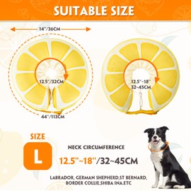 Recovery Collars & Cones (Large)