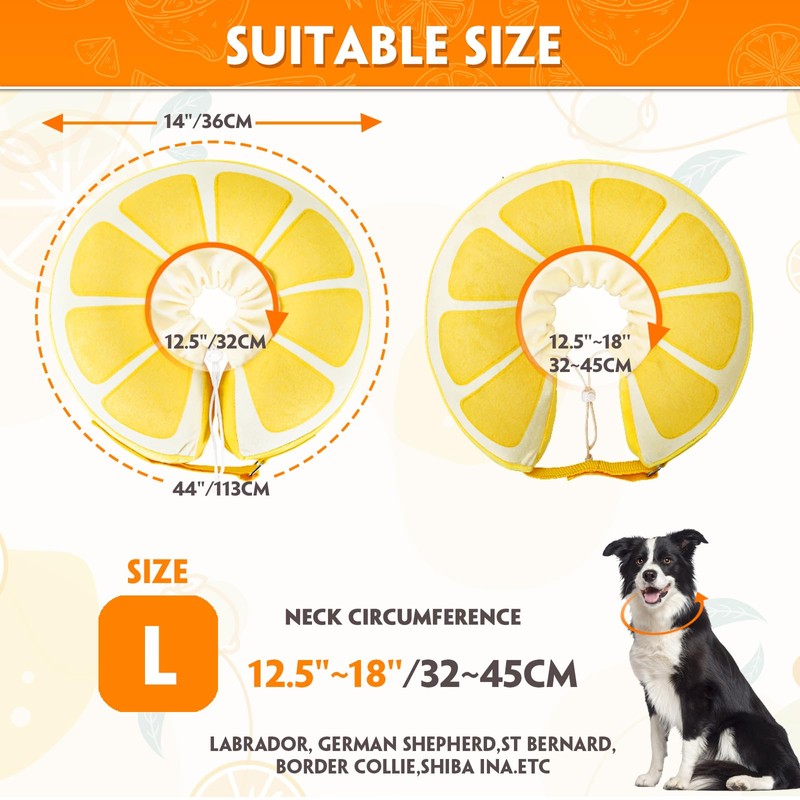 Recovery Collars & Cones (Large)