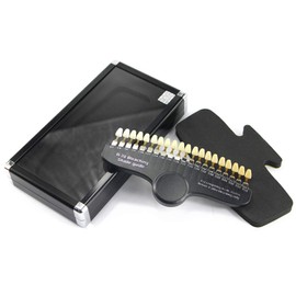 EZGO Professional 3D R-20 Dental Teeth Whitening Shade Guide for Dentist Tracking Teeth Whitening Course, 20 Colors Tooth Shade Guide