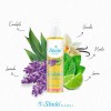 Aceite para Masaje y Aromaterapia de Hierbas Sheló Nabel, Pack