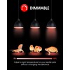 Flaspar 100W Reptile RED Heat Lamp Bulbs, Reptile & Amphibian