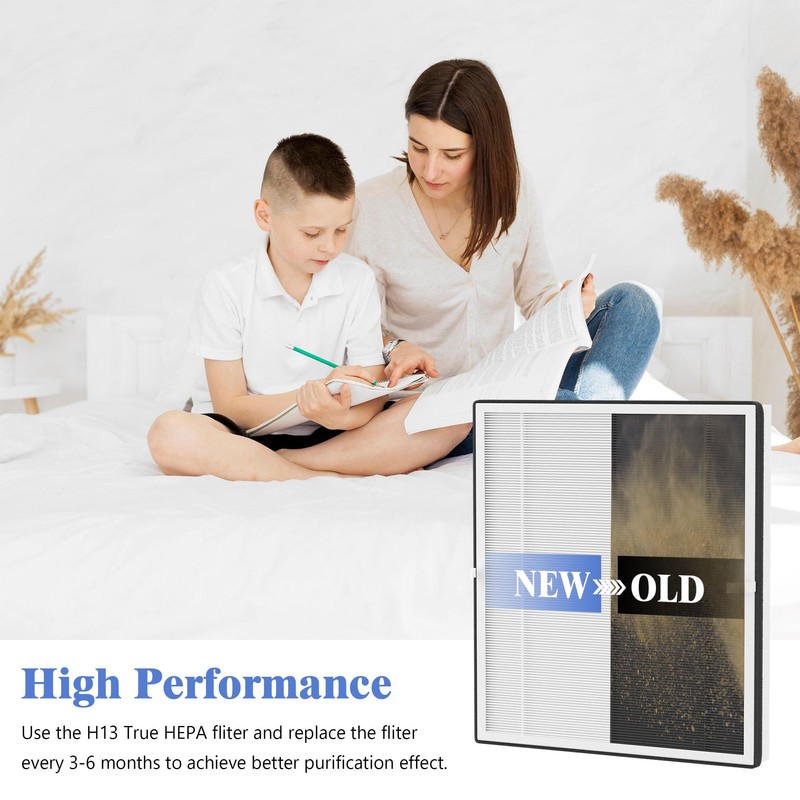 XBWW 2 Packs True HEPA Replacement Filters Compatible with Afloia
