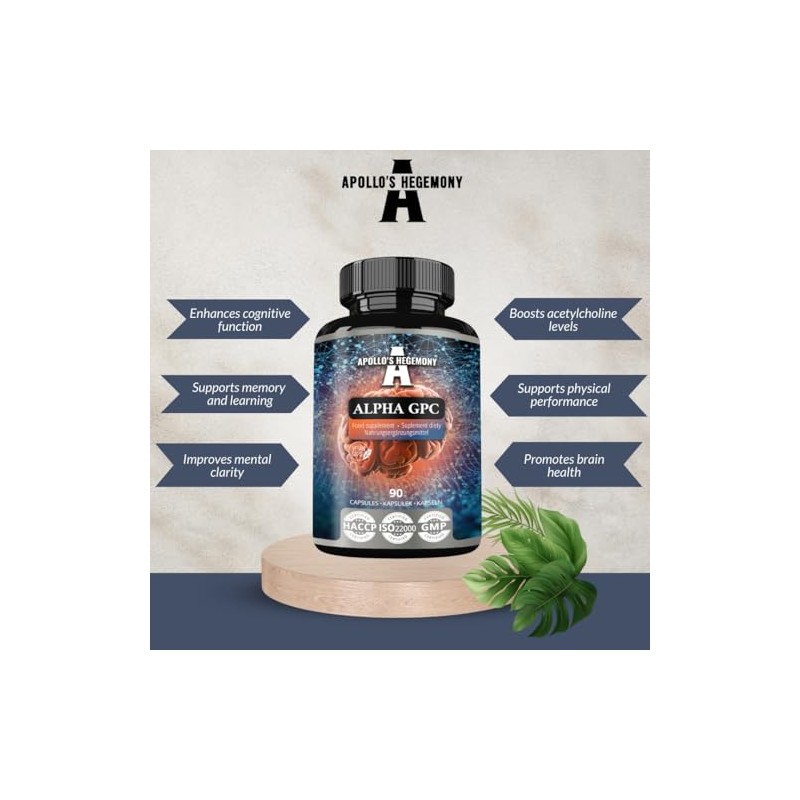 Alpha-GPC 600mg per Daily Dose - 90 Vegan Choline Capsules