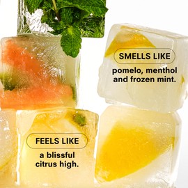 Boy Smells Boy Smells Citrus Sniffer Nasal Stick C Menthol Citrus Aroma Inhaler C Plant-Based Scent Stick for Daily Refresh C Aromatherapy Stick for Adults C 1 Pack