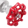 DERPIPE Heavy Duty Gate Valve - 3/4" NPT Stainless Steel