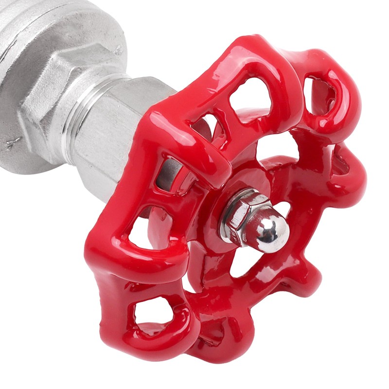 DERPIPE Heavy Duty Gate Valve - 3/4" NPT Stainless Steel