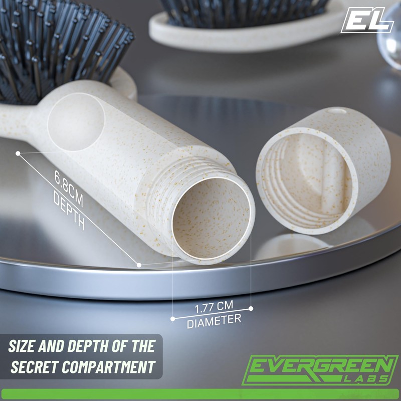 Evergreen Labs Hair Brush with Secret Compartment - Small Money