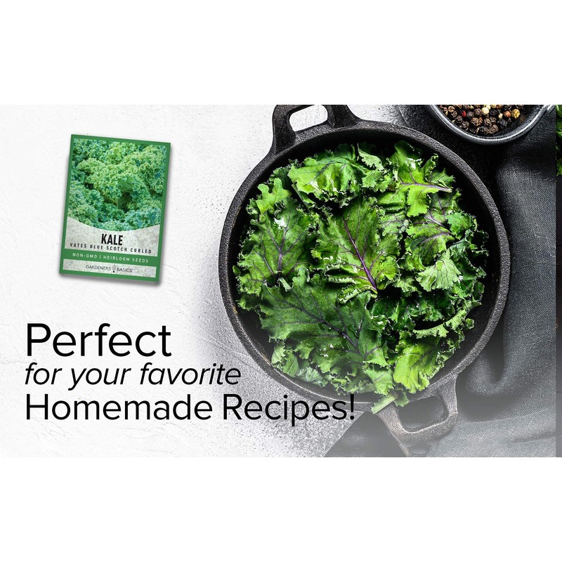 Gardeners Basics, Kale Seeds for Planting, Heirloom, Non-GMO Vegetable Variety