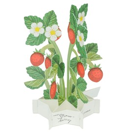 Greeting Life Blooming Card Mini Strawberry KE-58