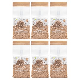 Tea Zone Chewy Tapioca Boba – Case (6 x 6lb Bags)