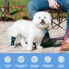 Balto Hock Brace – Dog Brace with Aluminum Splints –