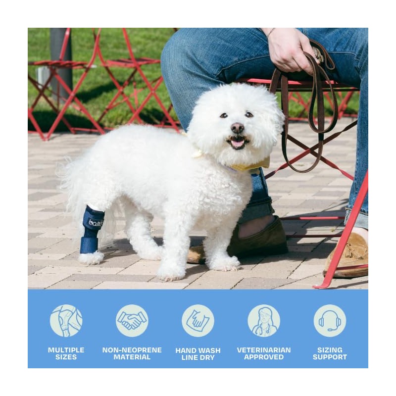 Balto Hock Brace – Dog Brace with Aluminum Splints –