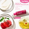 Lip Balm Set,12 x 5g Moisturising Lip Balms with Natural