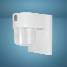 Patriot Lighting White LED  Dusk To Dawn Wall Mount Jelly Jar Garage Shed Outdoor Security Light