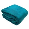 Comfort Lab Plush Flannel Bed Blanket - Soft, Lightweight, Fleece