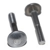 Carriage Bolts M6 x 60 Pack of 10 Round-Head Screws