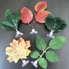 Cayway 14 PCS Fish Tank Decoration Betta Bed Leaf Betta