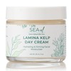 Sea-El Lamina Sea Kelp Day Cream Hydrating & Firming Anti