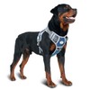 AUROTH Tactical Dog Harness for Small Medium Large Dogs No
