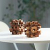 Double Lock-a-Ball Brain Teaser: Mechanical Interlocking 3D Wooden Puzzle for