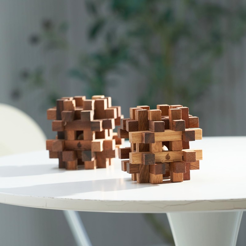 Double Lock-a-Ball Brain Teaser: Mechanical Interlocking 3D Wooden Puzzle for