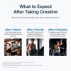Transparent Labs Creatine HMB - Creatine Monohydrate Powder with HMB