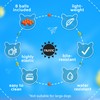 Trustic Balls 2 inch for Small and Medium Size Dogs