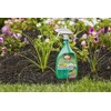 Ortho Grass B Gon Garden Grass Killer, 24-Ounce (3 Pack),