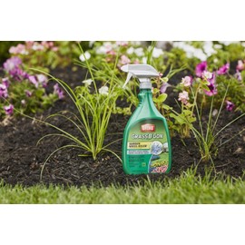 Ortho Grass B Gon Garden Grass Killer, 24-Ounce (3 Pack), Ready-to-Use, Spray, Weed Killer