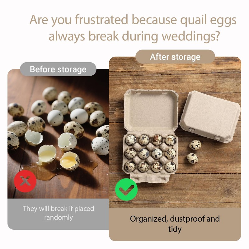 QIUMING Quail Egg Boxes Quail Eggs Reusable Box Egg Cardboard