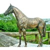6102 Cold Cast Bronze Patina Horse Study 'Epsom Dandy' from