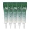 (5 pieces) Gainbi Cheong Eoseongcho Eye Cream 40ml / Herbal