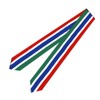SNUWITH Gambia Flag Graduation Sash/Stole/Scarf 180X13CM Double Sided for Study