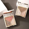 Light and Shadow Artist Blush Shading Highlights All-in-One Disc Brighten