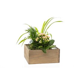 Wooden Planter Box l Rustic Wooden Boxes with Attached Plastic Liner l Garden Centerpiece Display l Wedding Flowers Holder (Set of 2) (9"x 9"x 4", Rustic)