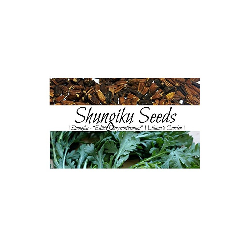 Shungiku Seeds - Edible Chrysanthemum - Green - Liliana's Garden