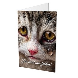 Colleagues Cat A4 Leaving Card with Envelope, Snap Leave of Colleagues or colleague, Verabschiedung, Retirement Card –