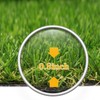Artificial Grass Fake Grass Lawn Turf 4 ft x 12