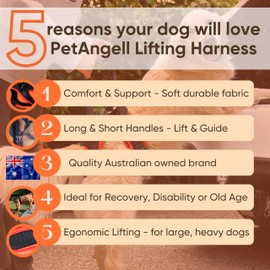 PetAngell Dog Support Harness for Back Legs - Dog Lift Harness with Handle and Shoulder Strap - to Help Lift and Walk Elderly Dogs – Rear Leg Support Harness for Pet Mobility or Recovery – Small